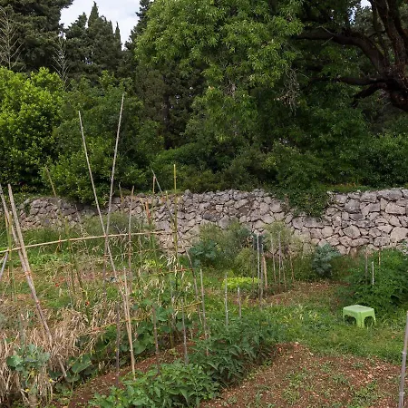 Cosy In Kolocep With Garden Donje Celo