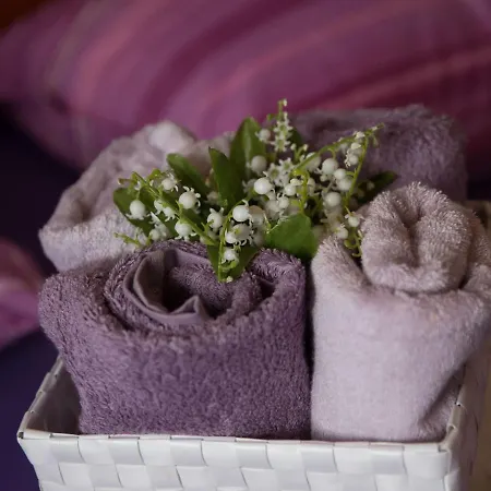 Cosy In Kolocep With Garden *